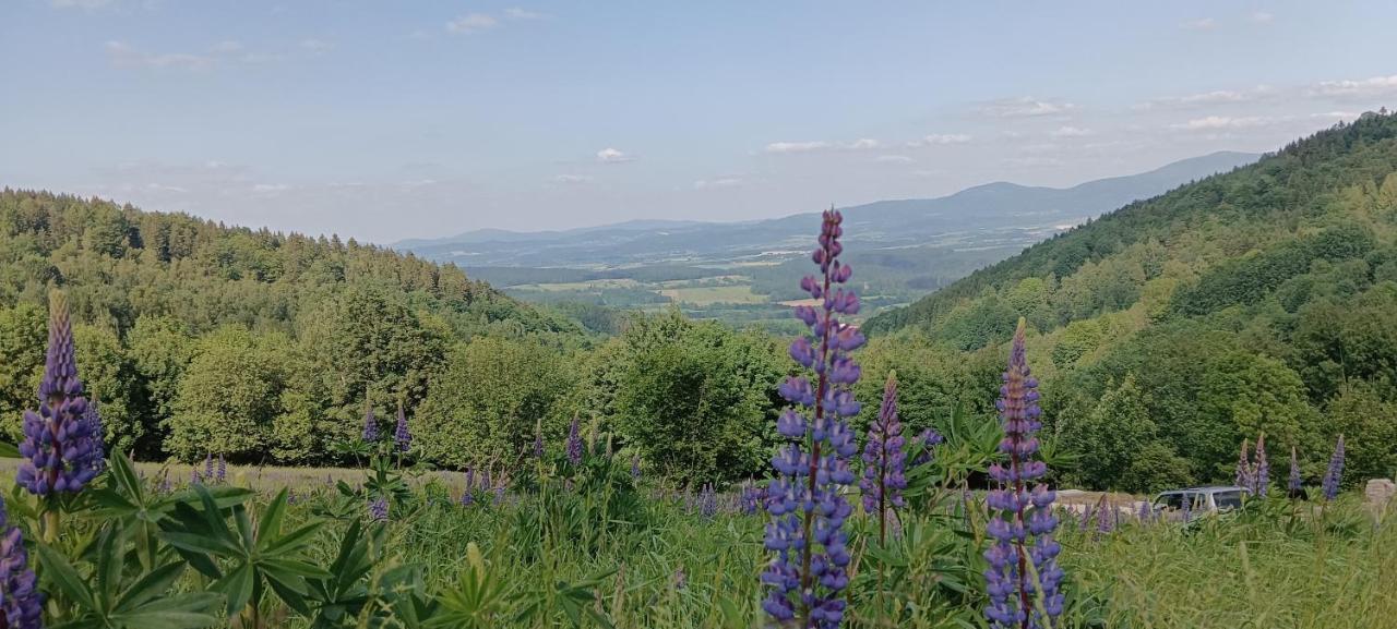 Enklawa W Porebie Dlugopole-Zdroj Exterior photo